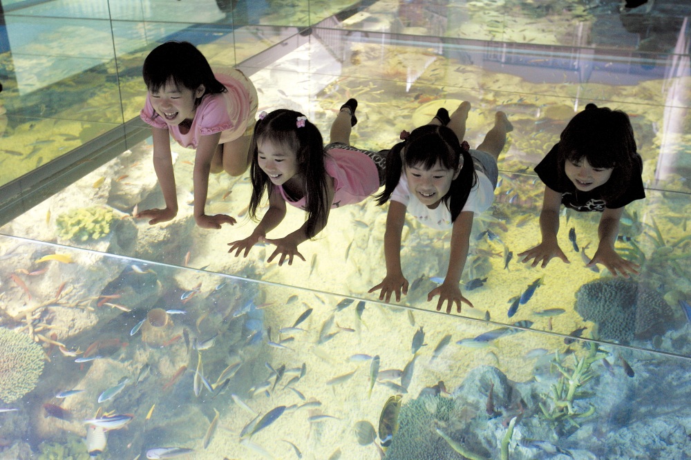夏休みの旅行や観光はここで決まり！子連れで楽しめるスポット…